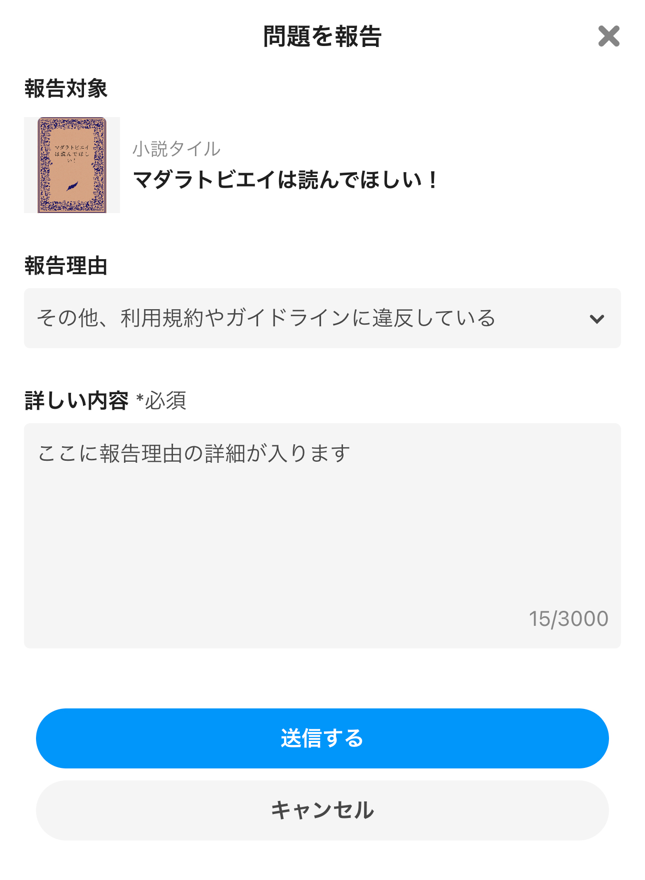 4.報告理由と、詳しい内容を記載してください。.jpg